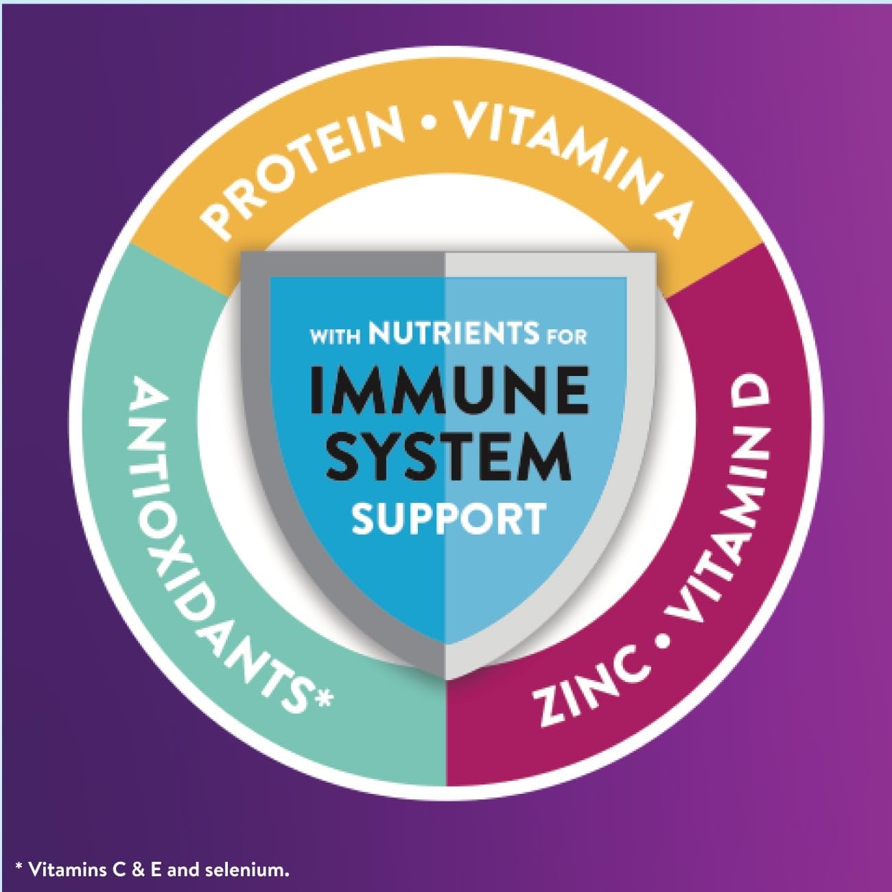 Ensure Surgery Nutrition Shake (Pack of 12)